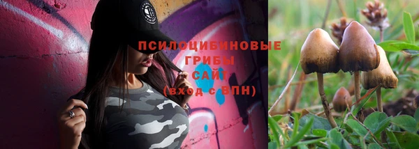 молекула духа Балабаново