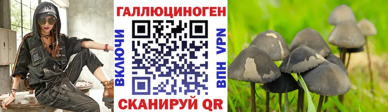 где продают Отрадная Галлюциногенные грибы Magic Shrooms